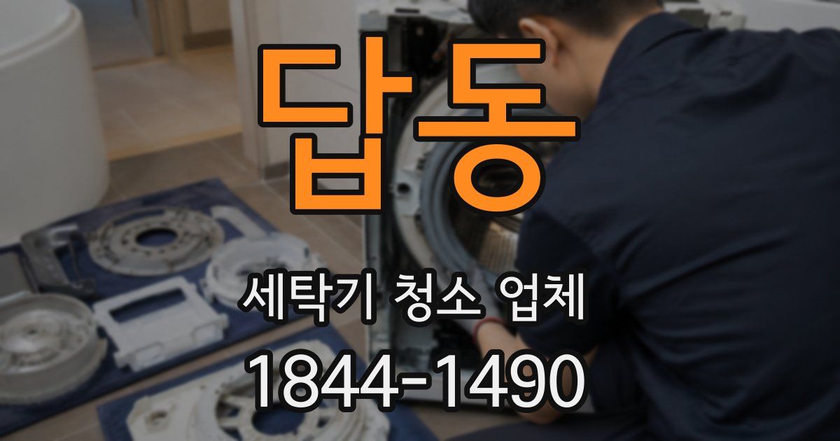 답동 세탁기 청소 업체