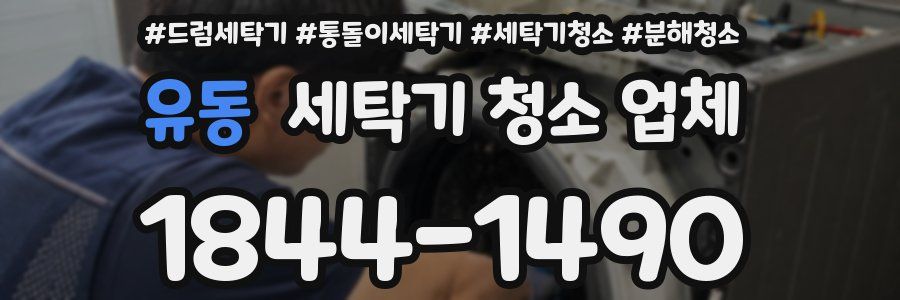 유동 세탁기 청소 업체