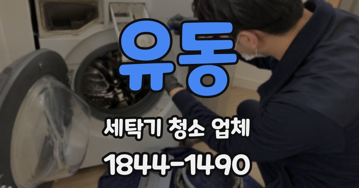 유동 세탁기 청소 업체