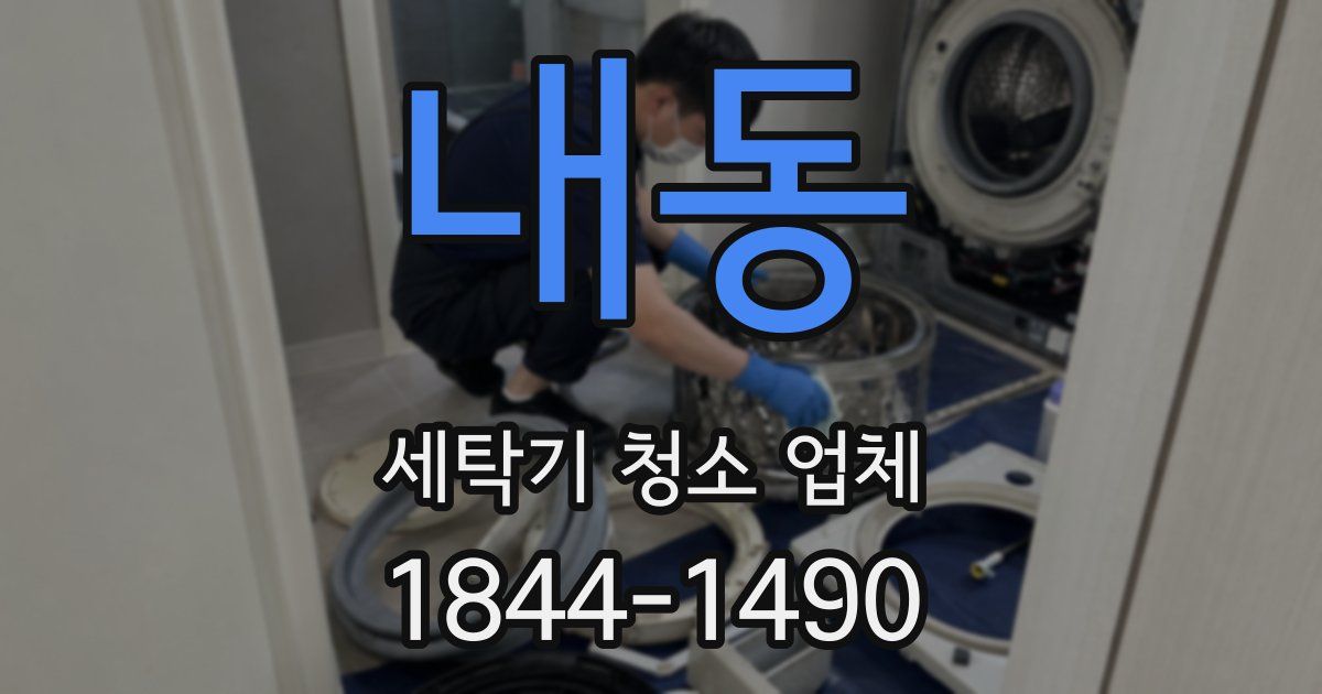 내동 세탁기 청소 업체