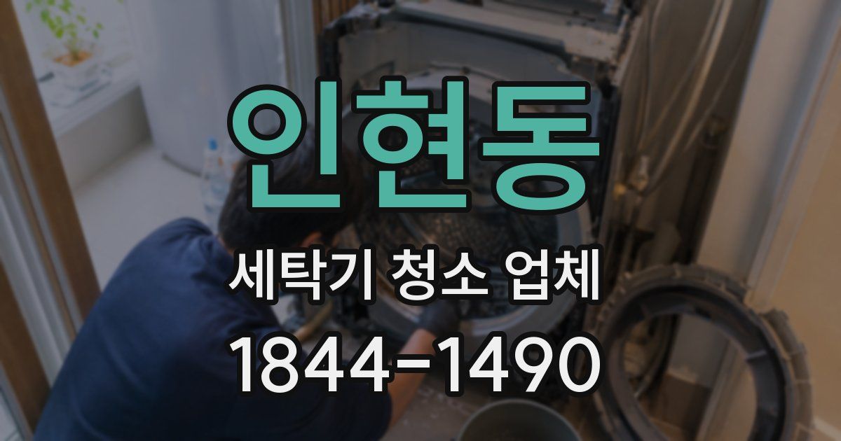 인현동 세탁기 청소 업체