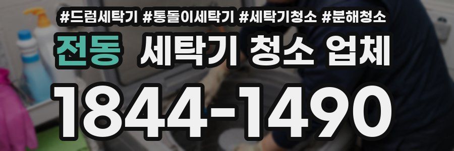 전동 세탁기 청소 업체