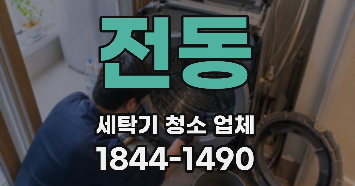 전동 세탁기 청소 업체