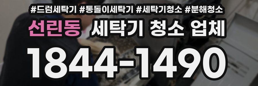선린동 세탁기 청소 업체