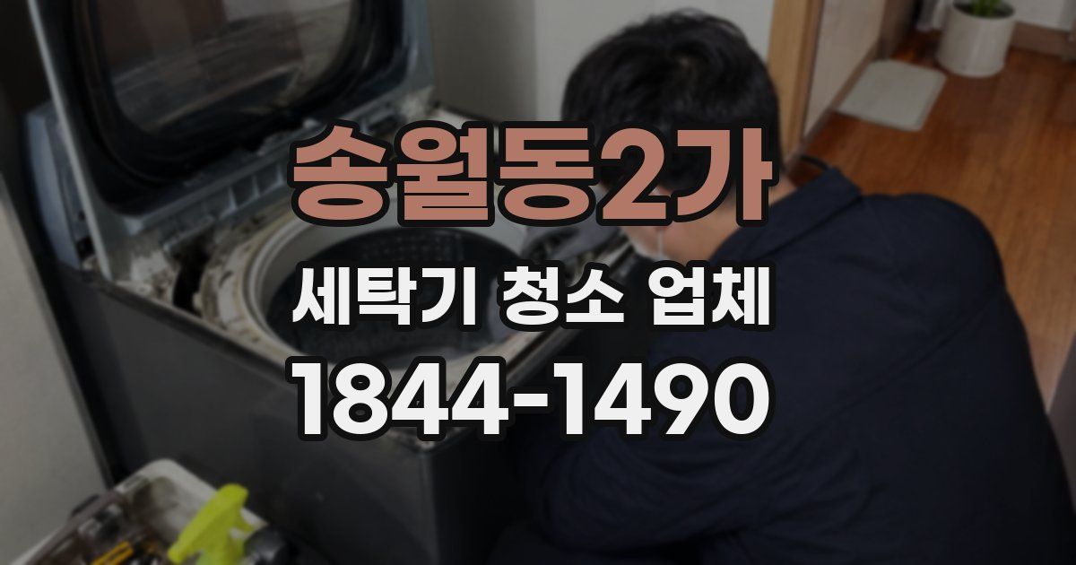 송월동2가 세탁기 청소 업체