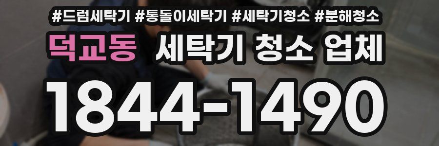덕교동 세탁기 청소 업체