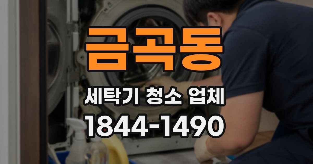 금곡동 세탁기 청소 업체