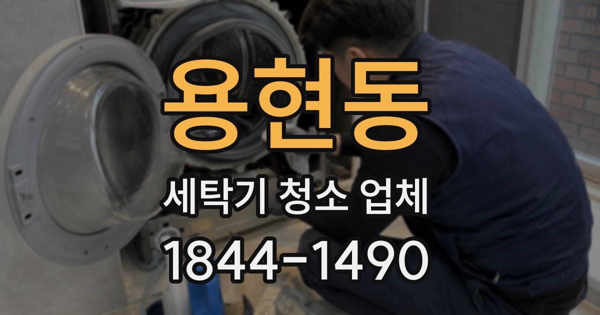 용현동 세탁기 청소 업체