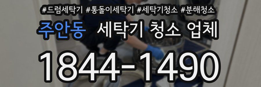 주안동 세탁기 청소 업체