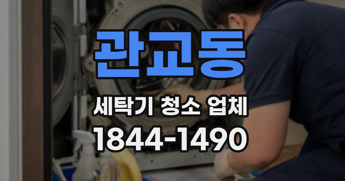 관교동 세탁기 청소 업체