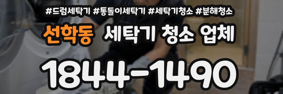 선학동 세탁기 청소 업체