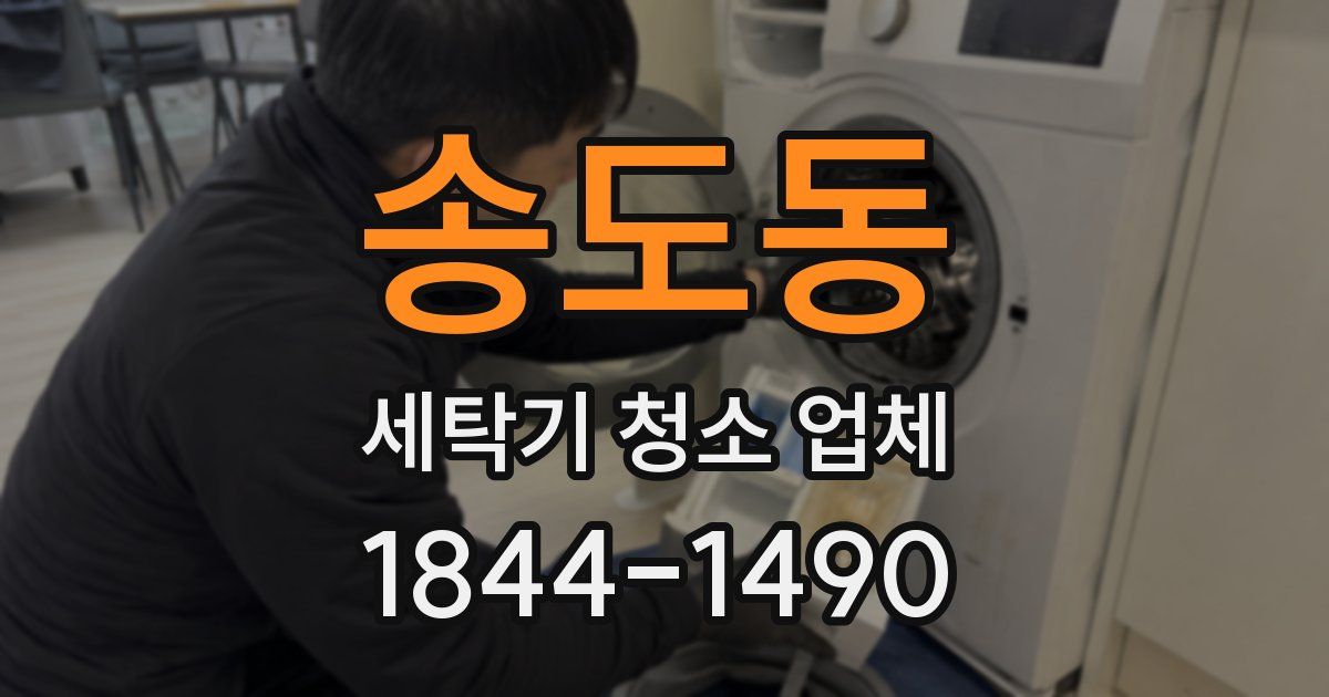 송도동 세탁기 청소 업체