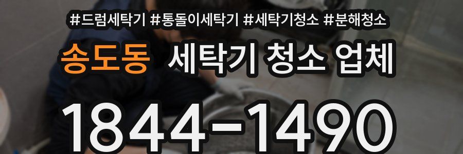 송도동 세탁기 청소 업체
