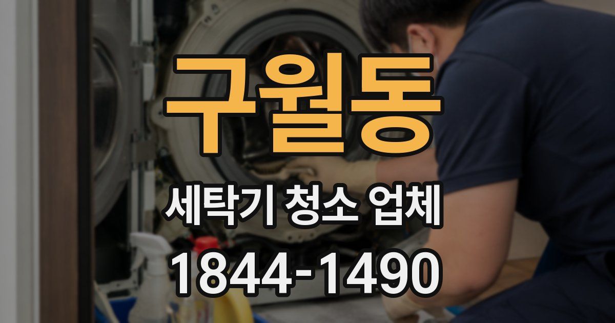 구월동 세탁기 청소 업체