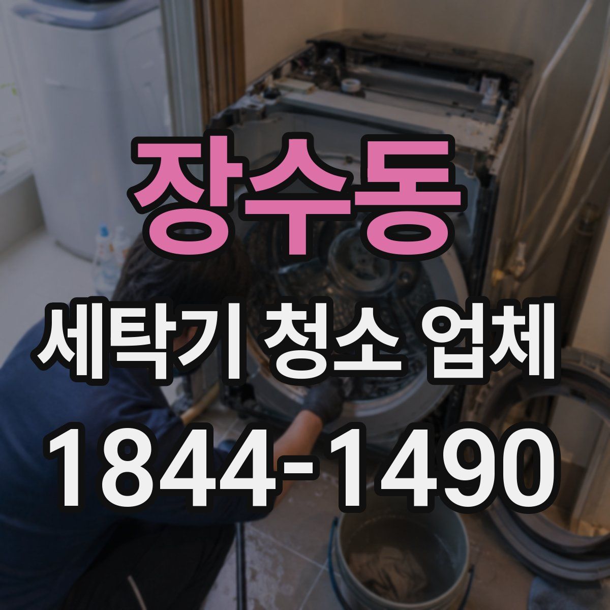 장수동 세탁기 청소 업체
