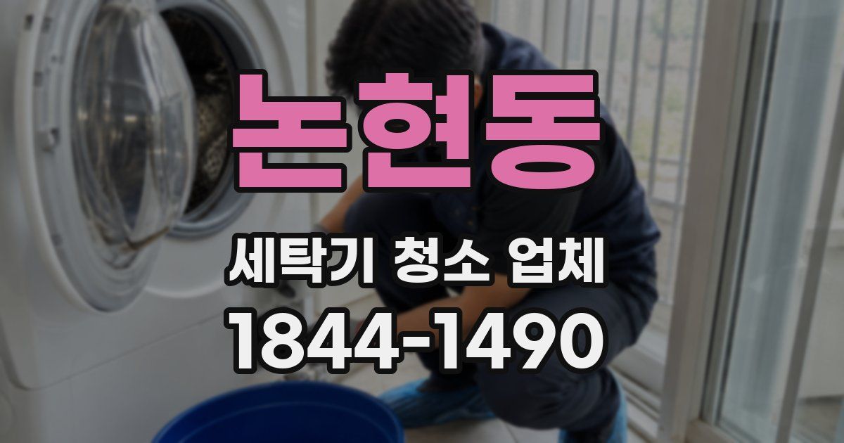 논현동 세탁기 청소 업체