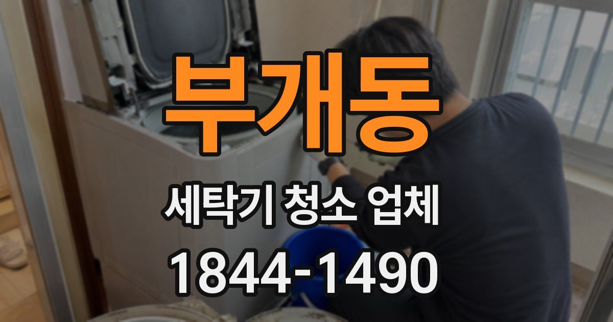 부개동 세탁기 청소 업체
