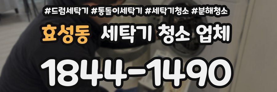 효성동 세탁기 청소 업체