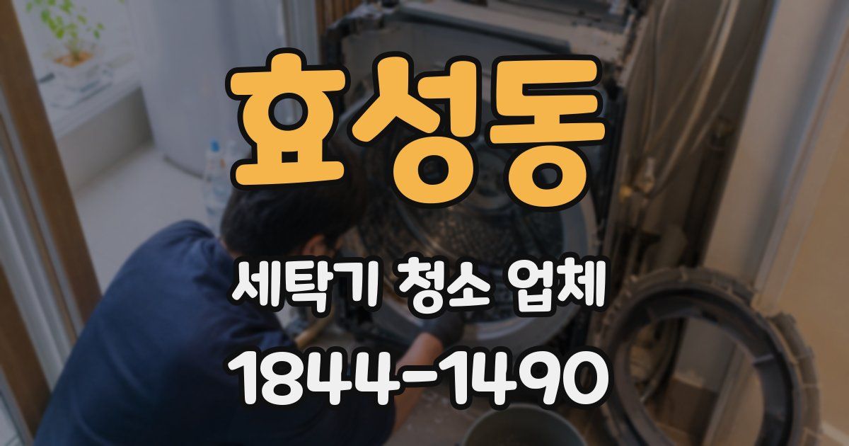 효성동 세탁기 청소 업체