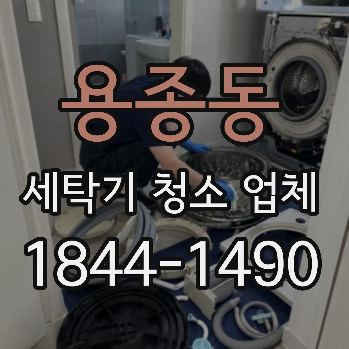 용종동 세탁기 청소 업체