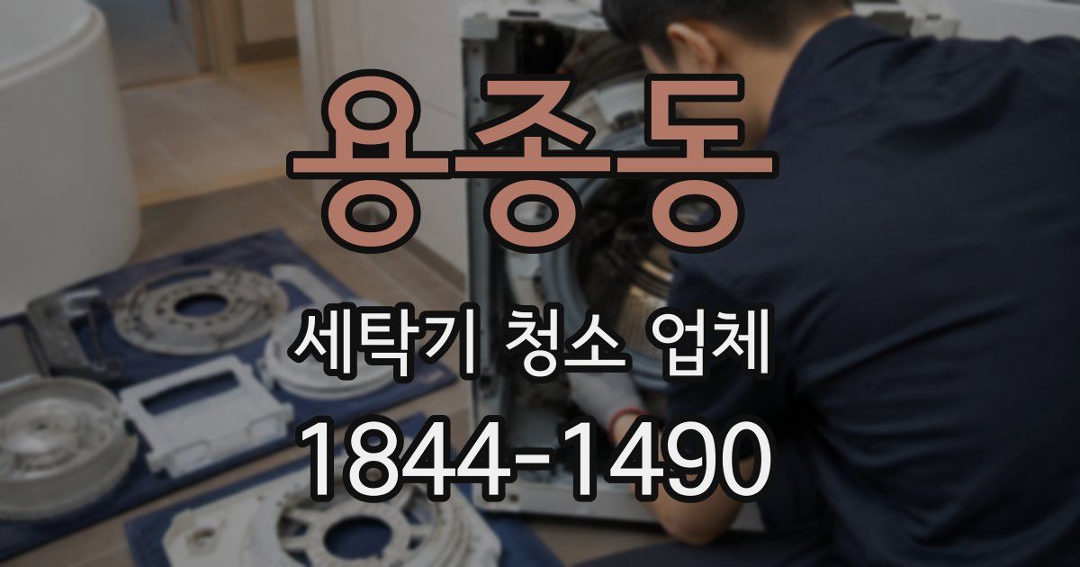 용종동 세탁기 청소 업체