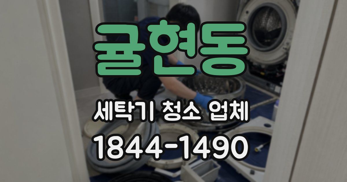 귤현동 세탁기 청소 업체