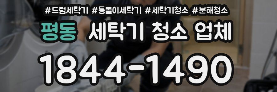 평동 세탁기 청소 업체