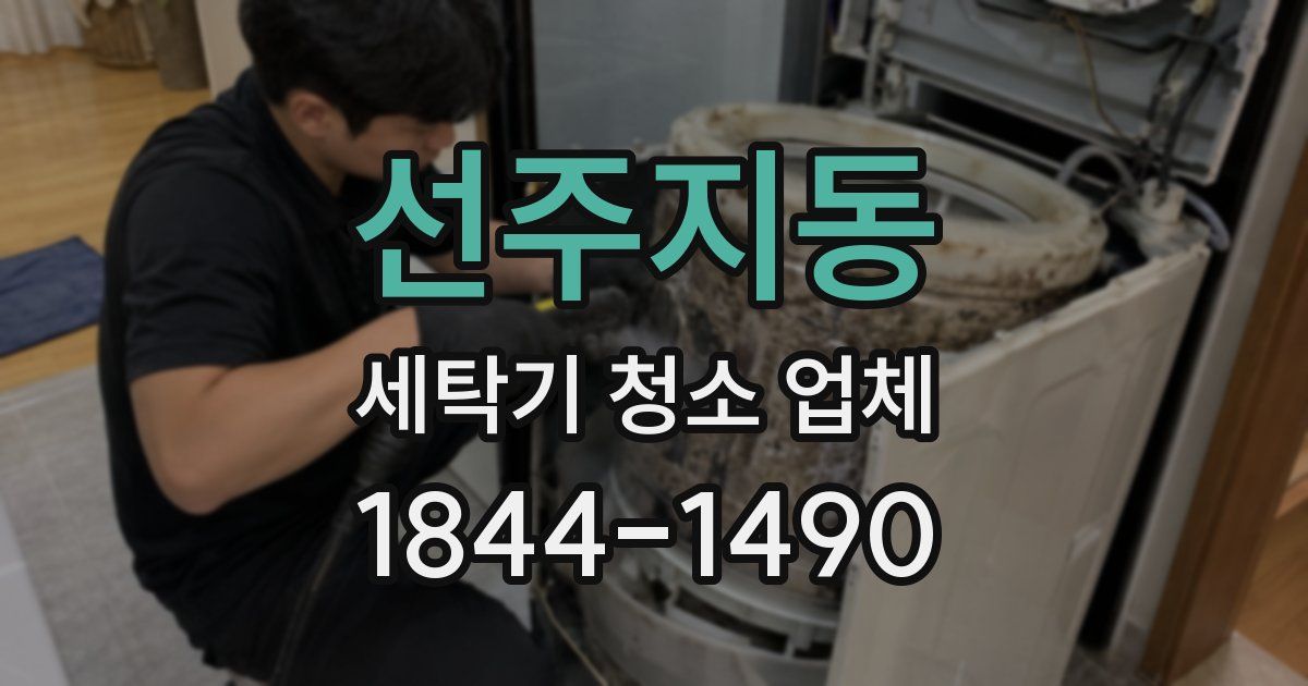 선주지동 세탁기 청소 업체