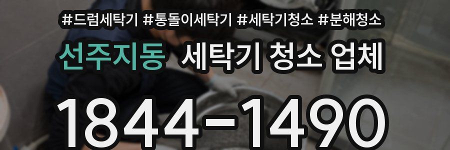 선주지동 세탁기 청소 업체