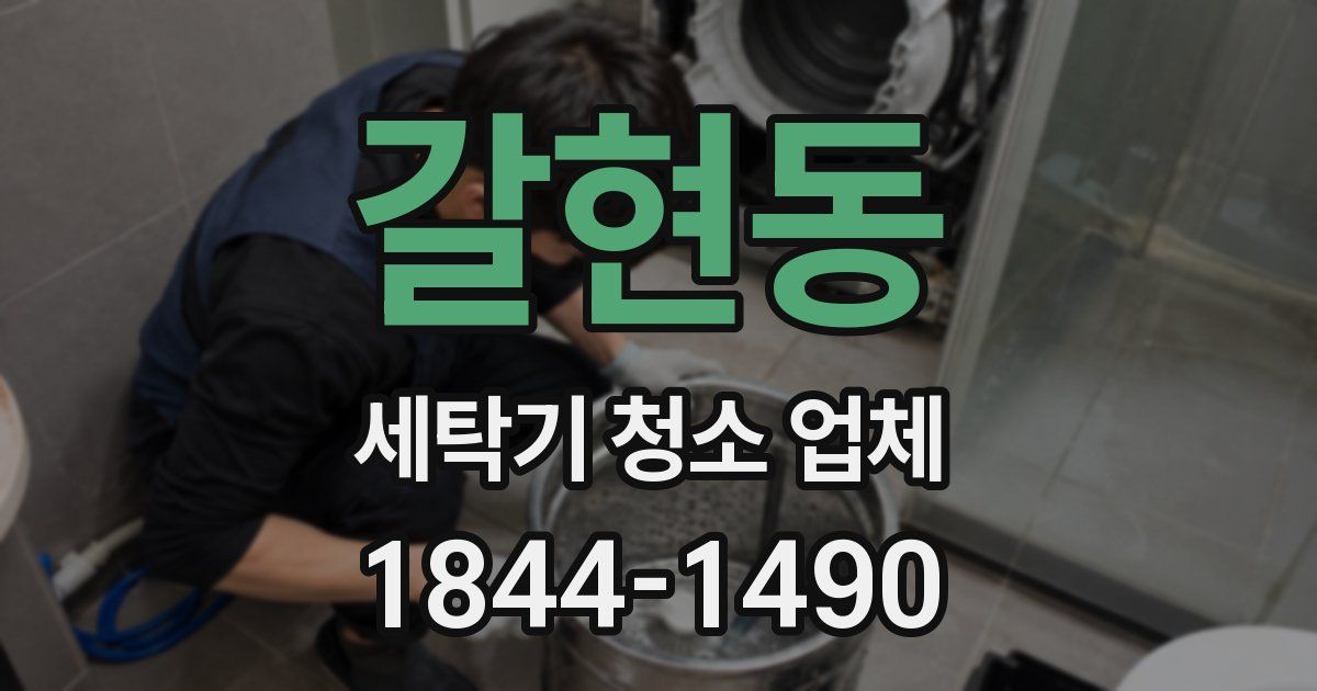 갈현동 세탁기 청소 업체