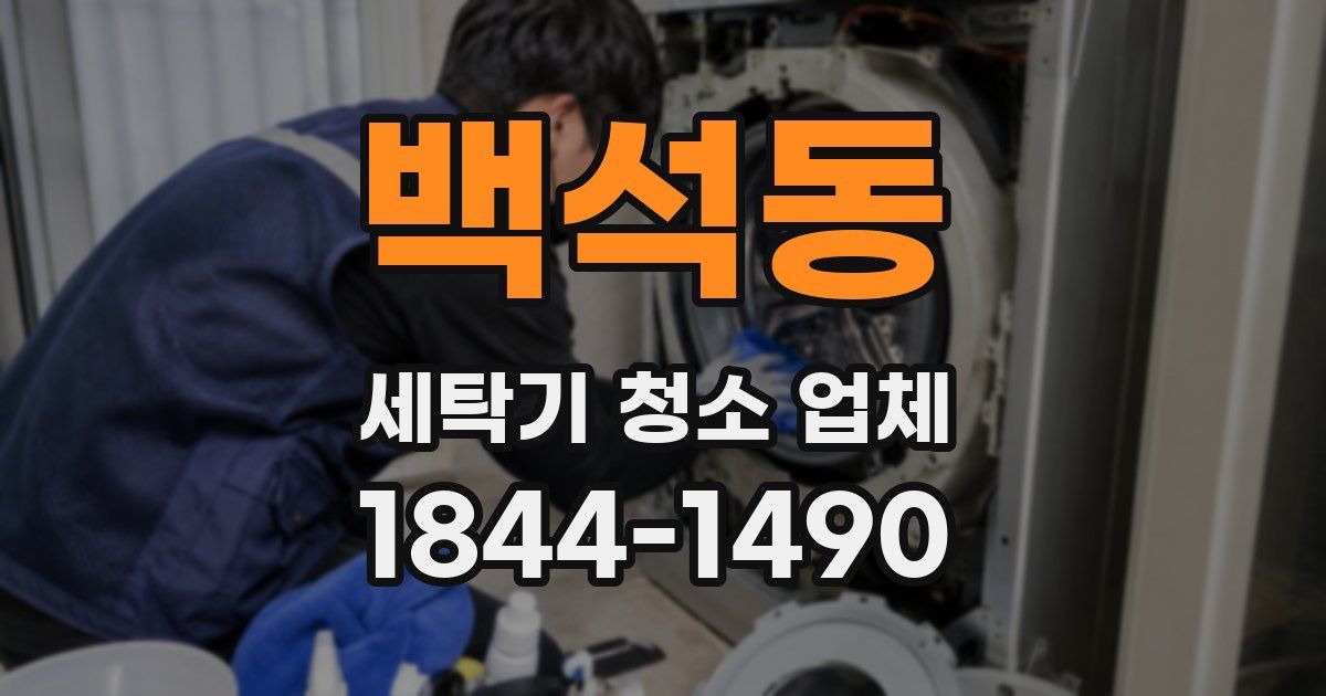 백석동 세탁기 청소 업체