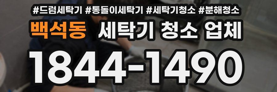 백석동 세탁기 청소 업체