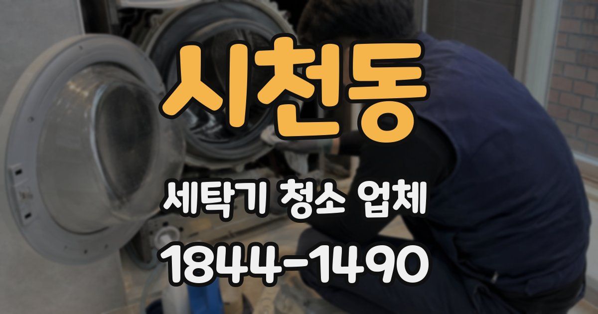 시천동 세탁기 청소 업체