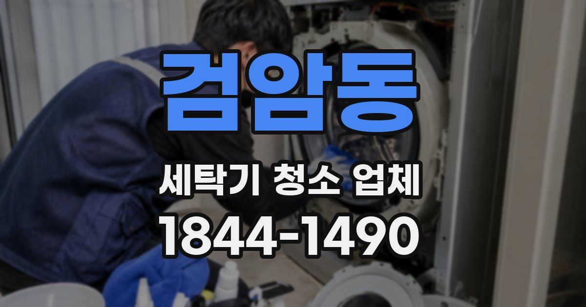 검암동 세탁기 청소 업체
