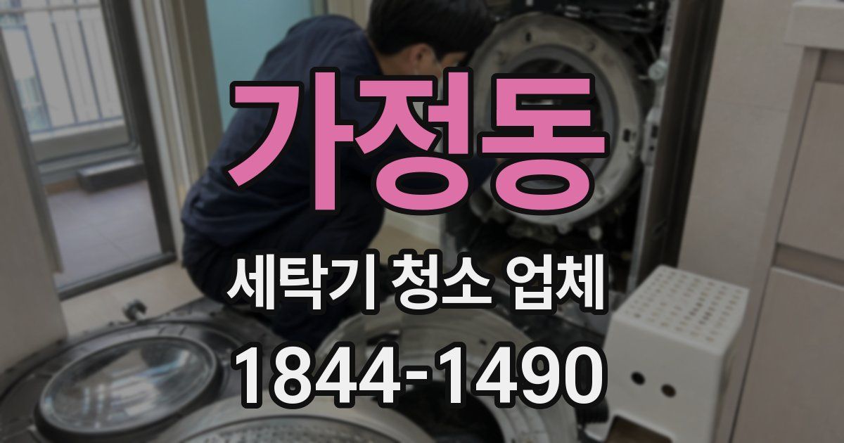 가정동 세탁기 청소 업체