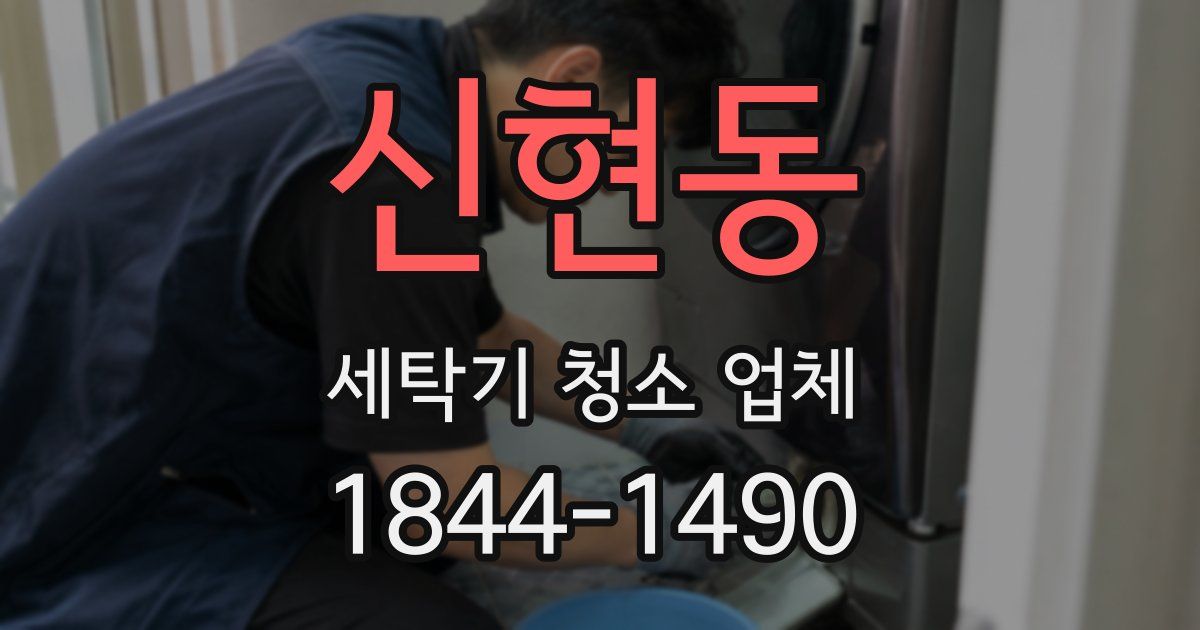 신현동 세탁기 청소 업체