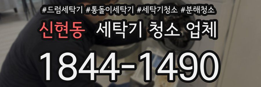 신현동 세탁기 청소 업체