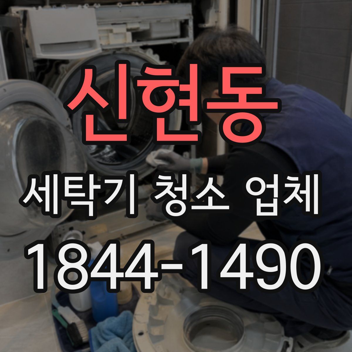 신현동 세탁기 청소 업체