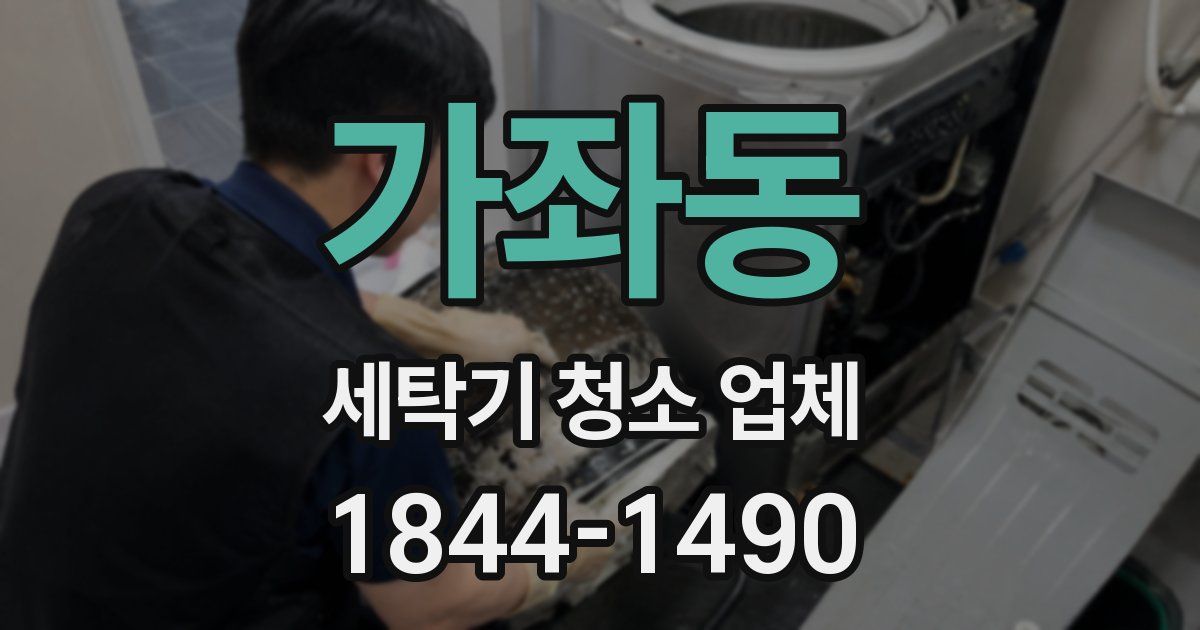 가좌동 세탁기 청소 업체