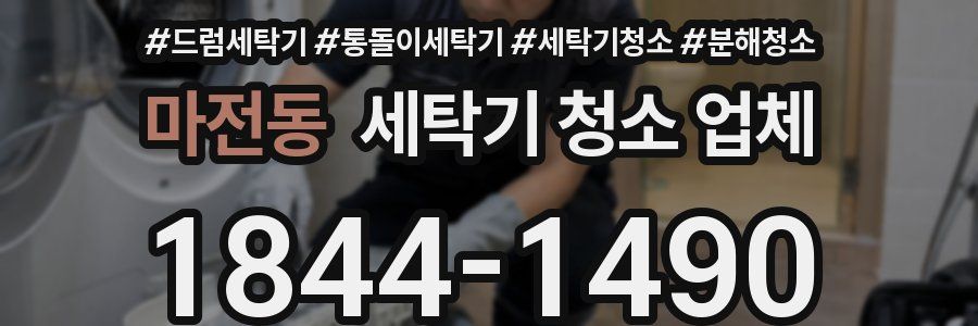 마전동 세탁기 청소 업체
