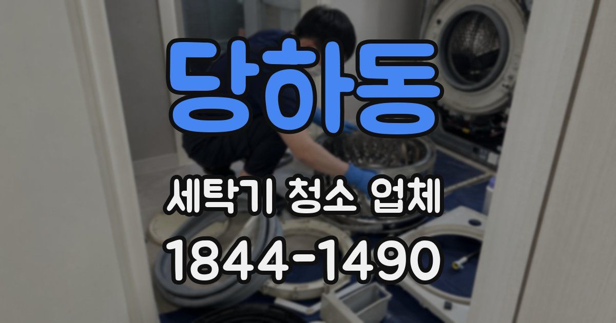 당하동 세탁기 청소 업체