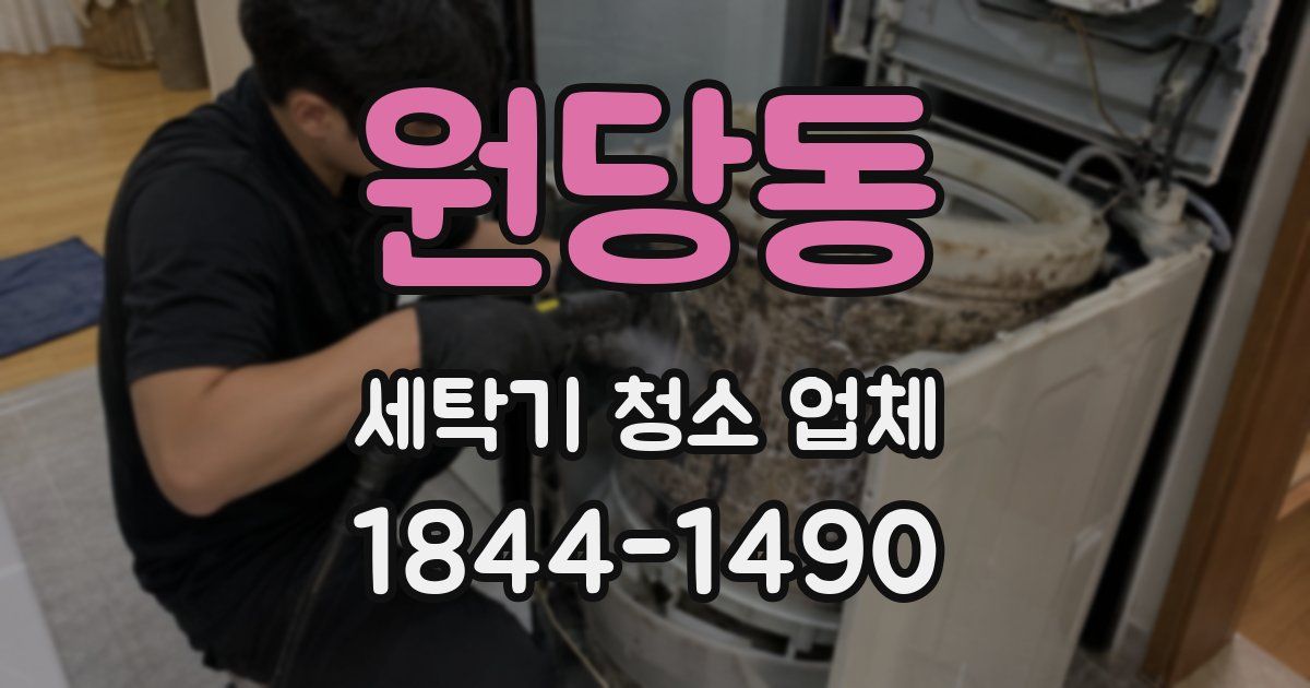 원당동 세탁기 청소 업체