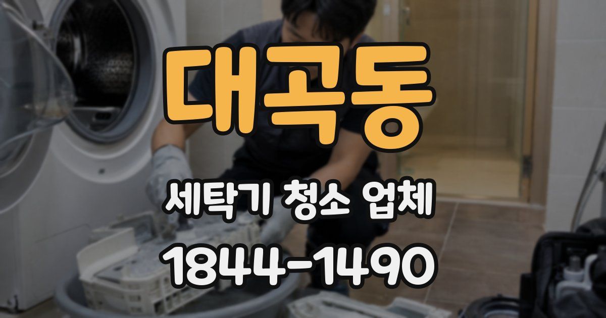 대곡동 세탁기 청소 업체