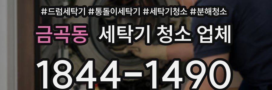금곡동 세탁기 청소 업체