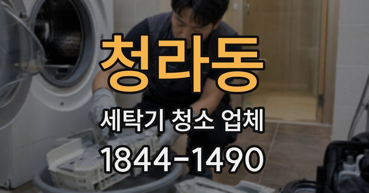 청라동 세탁기 청소 업체