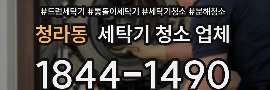 청라동 세탁기 청소 업체