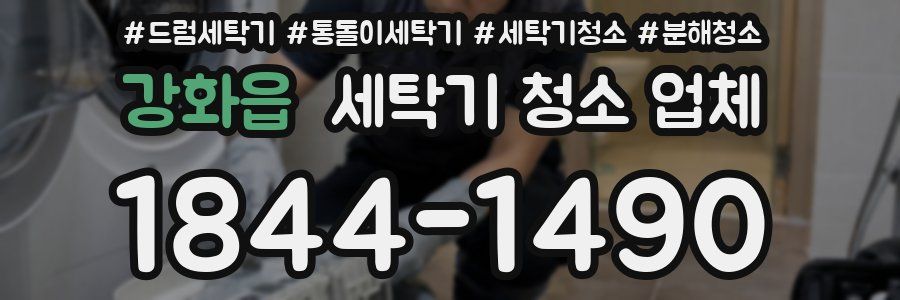 강화읍 세탁기 청소 업체
