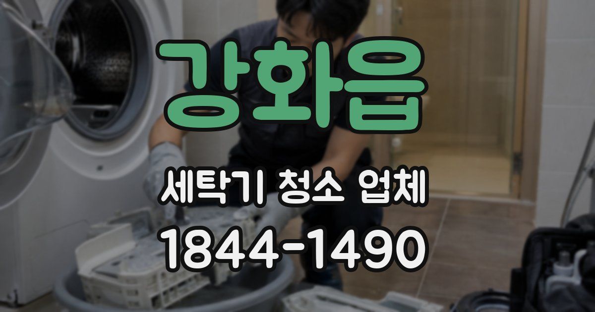 강화읍 세탁기 청소 업체