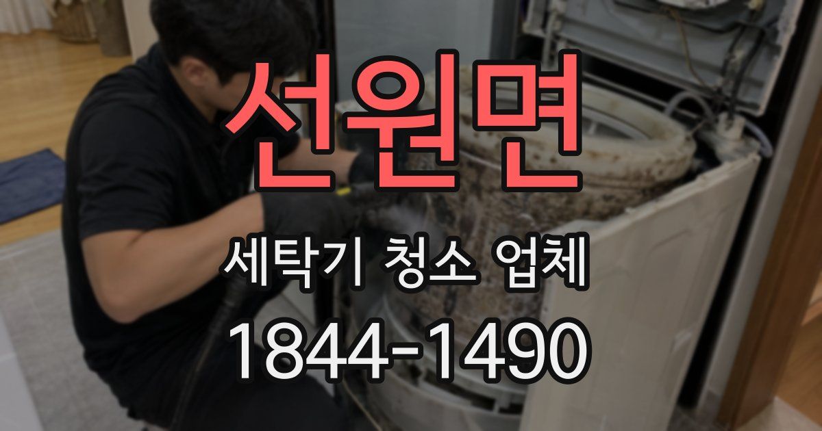 선원면 세탁기 청소 업체