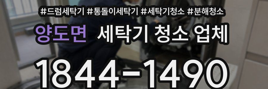 양도면 세탁기 청소 업체
